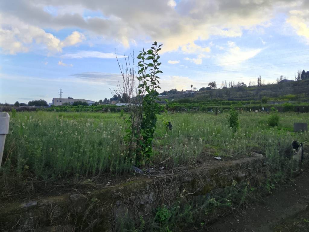 terreno agricolo in vendita ad Aci Catena