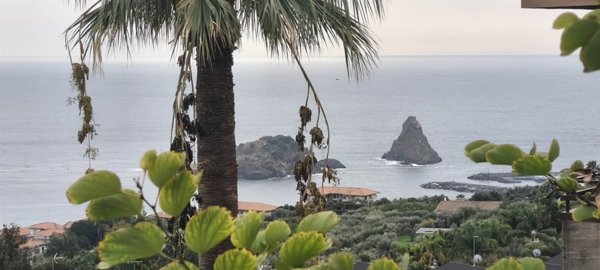 appartamento in vendita ad Aci Catena