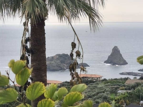 appartamento in vendita ad Aci Catena