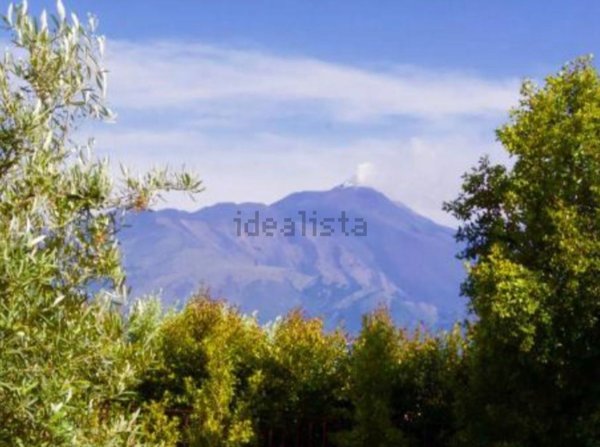 terreno agricolo in vendita ad Aci Catena