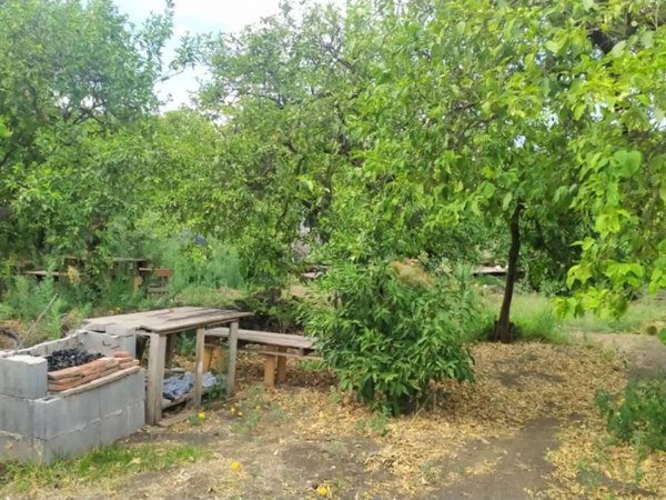terreno agricolo in vendita ad Aci Catena