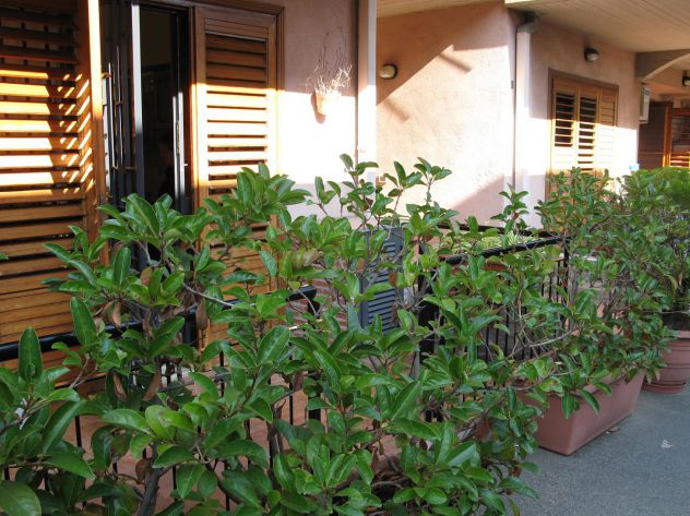 appartamento in vendita ad Acireale