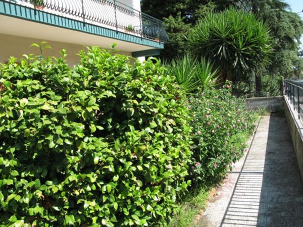 appartamento in vendita ad Acireale