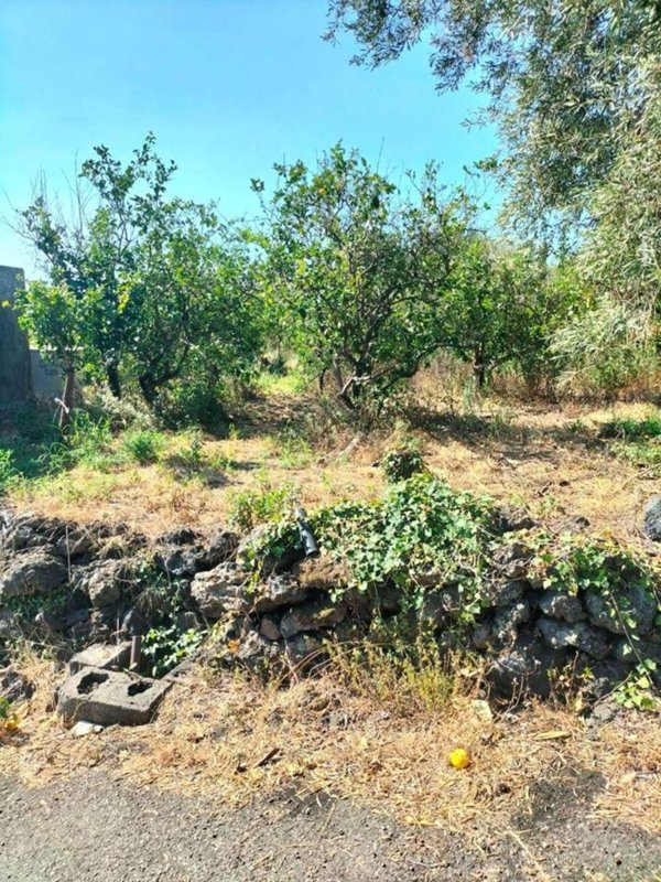 terreno agricolo in vendita ad Acireale in zona Scillichenti