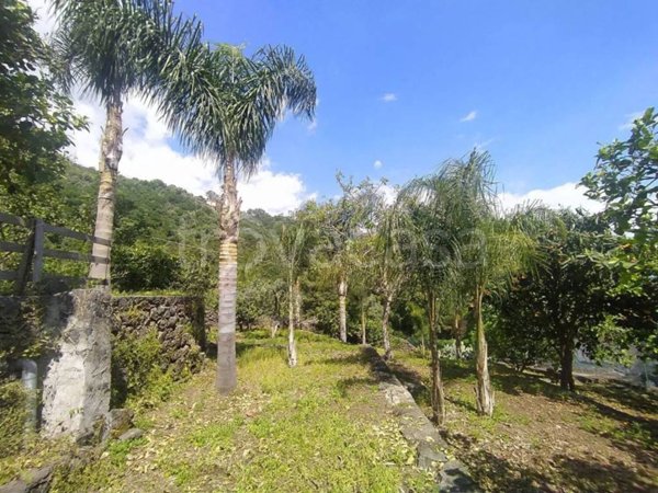 terreno agricolo in vendita ad Acireale in zona Santa Tecla