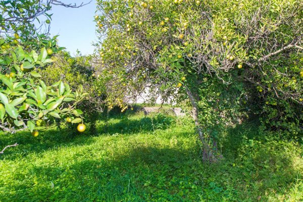 terreno agricolo in vendita ad Acireale