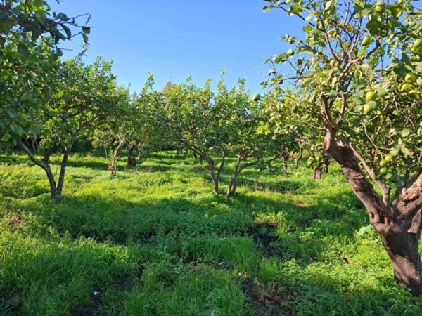 terreno agricolo in vendita ad Acireale in zona Aci Platani
