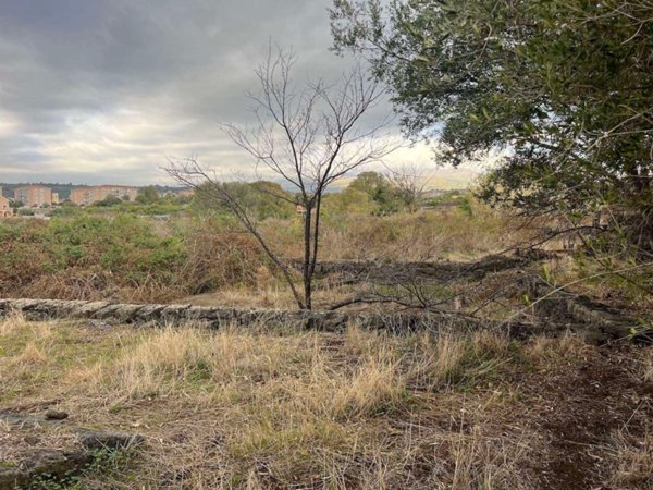 terreno agricolo in vendita ad Acireale