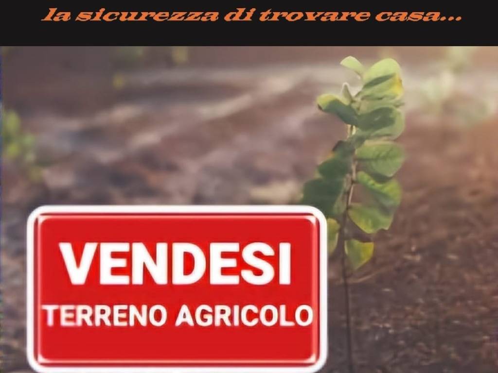 terreno agricolo in vendita ad Acireale in zona San Giovanni