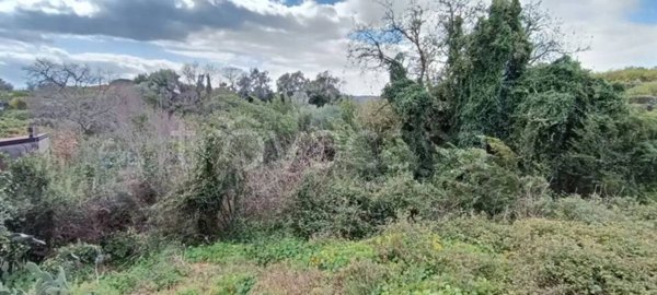 terreno agricolo in vendita ad Acireale in zona Stazzo