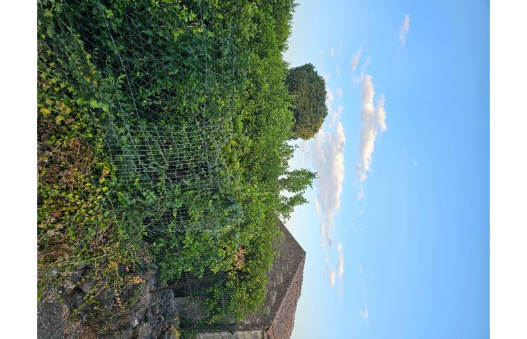terreno agricolo in vendita ad Acireale in zona Santa Tecla