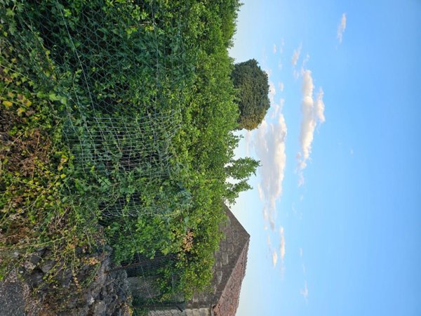 terreno agricolo in vendita ad Acireale in zona Santa Tecla