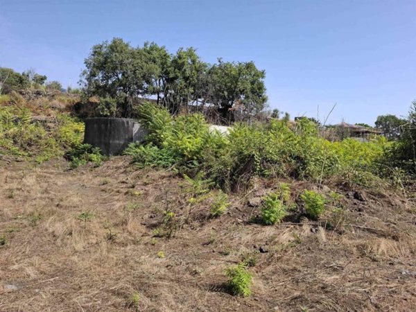 terreno agricolo in vendita ad Acireale in zona Pennisi