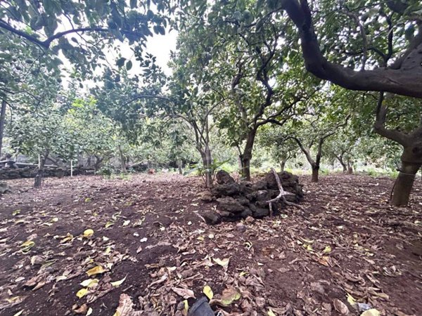 terreno agricolo in vendita ad Acireale