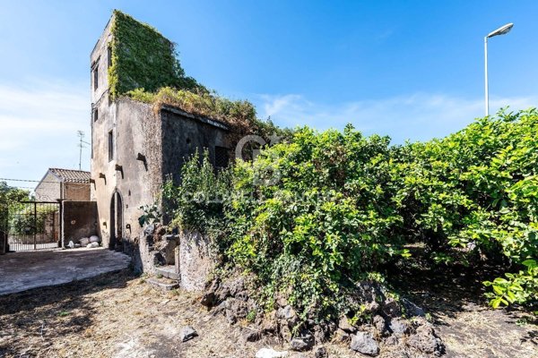 esavano in vendita ad Acireale in zona Pozzillo