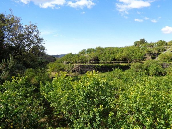 casa indipendente in vendita ad Acireale in zona Stazzo