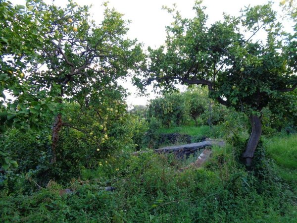 casa indipendente in vendita ad Acireale in zona Guardia
