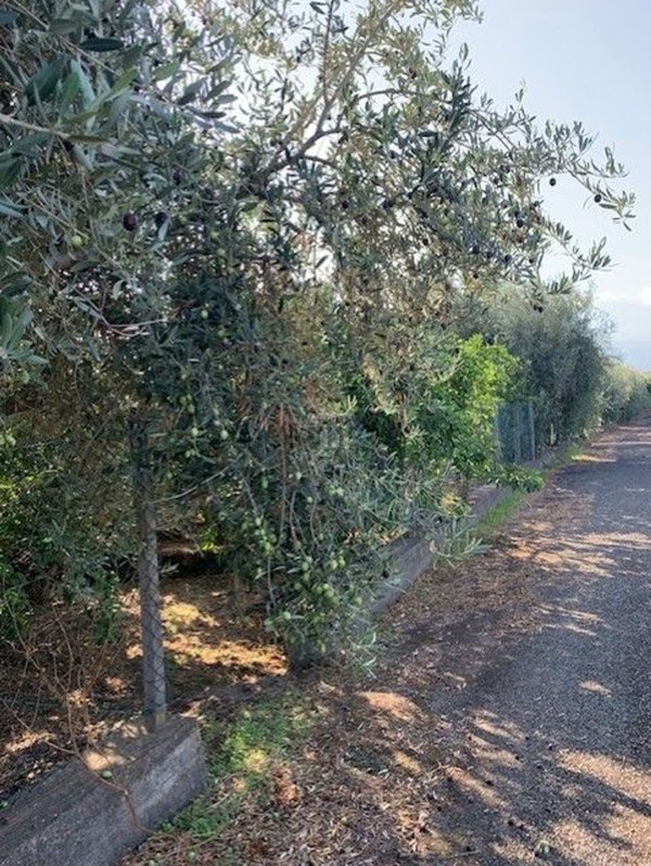 appartamento in vendita ad Acireale in zona Pozzillo