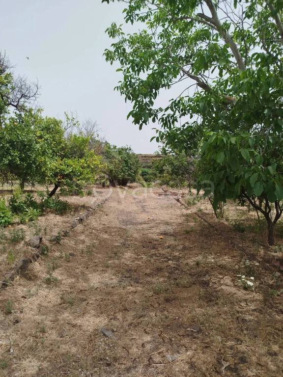 terreno agricolo in vendita ad Acireale in zona Guardia
