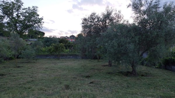 terreno agricolo in vendita ad Acireale