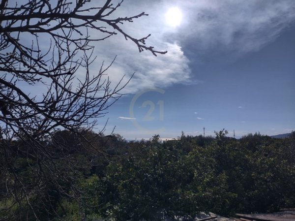 terreno agricolo in vendita ad Acireale in zona Piano d'Api