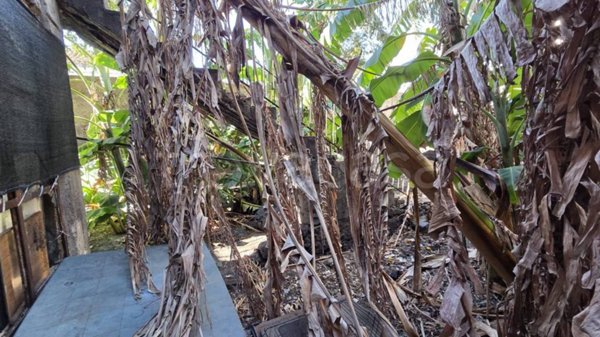 appartamento in vendita ad Acireale