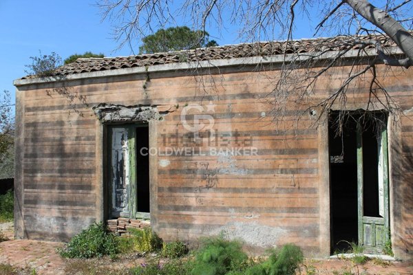 immagine annuncio 0 di 1