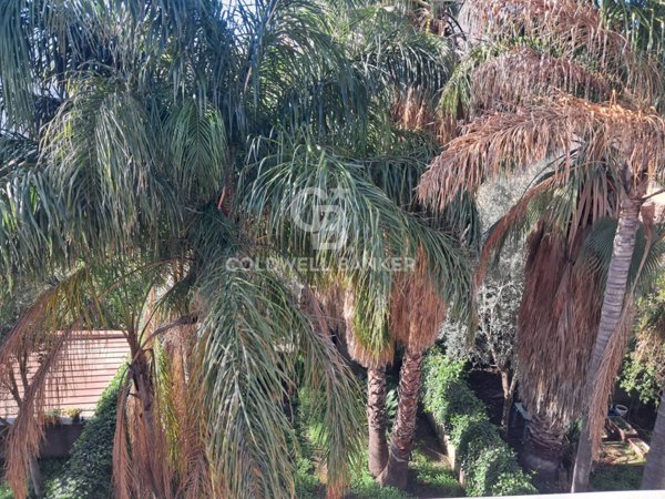 casa indipendente in vendita ad Acireale