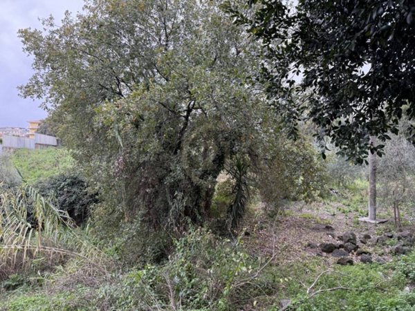 appartamento in vendita ad Acireale