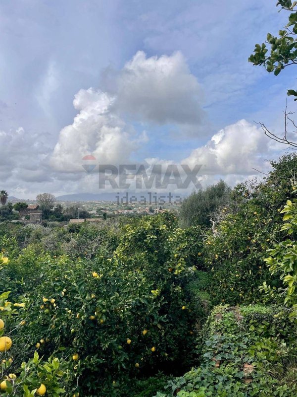 terreno agricolo in vendita ad Acireale in zona Stazzo