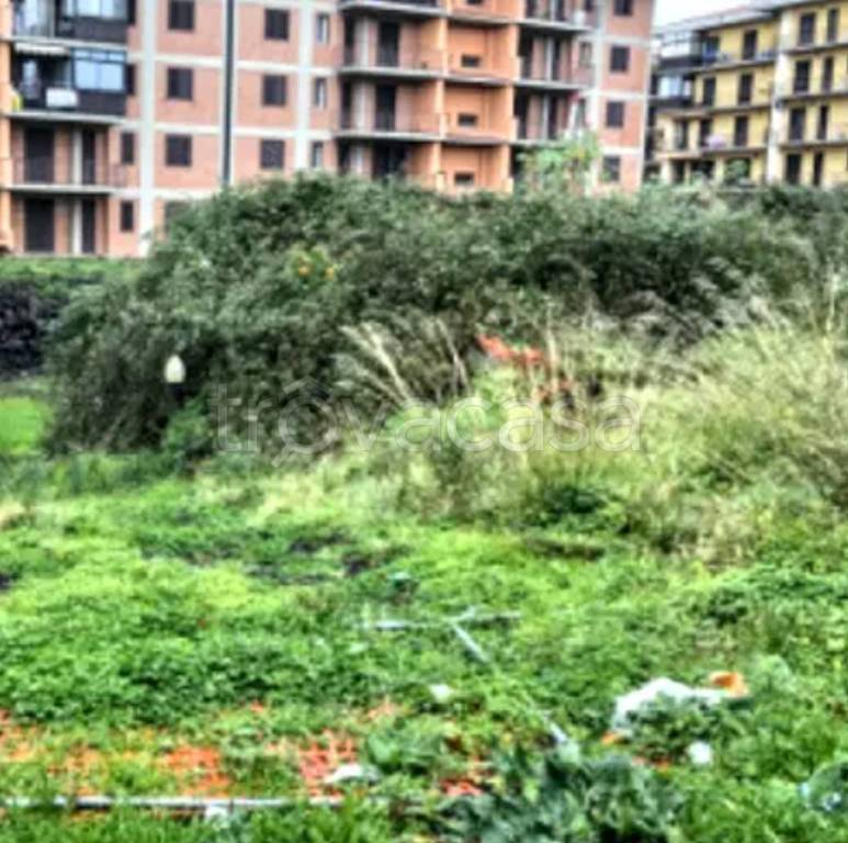 terreno agricolo in vendita ad Acireale