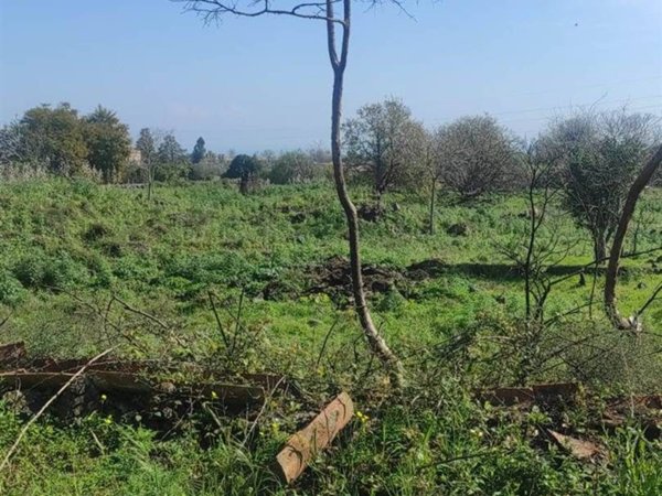 terreno agricolo in vendita ad Acireale