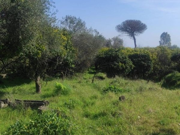 terreno agricolo in vendita ad Acireale in zona Piano d'Api