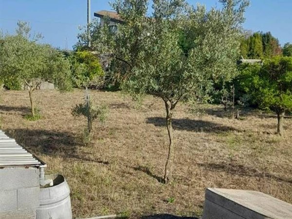 terreno agricolo in vendita ad Acireale