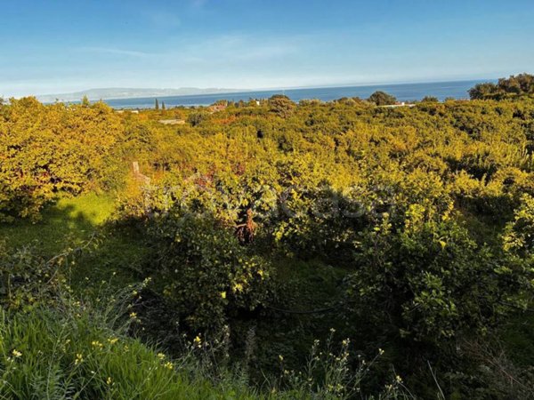 terreno agricolo in vendita ad Acireale in zona Mangano