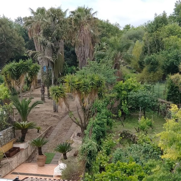 casa indipendente in vendita ad Acireale