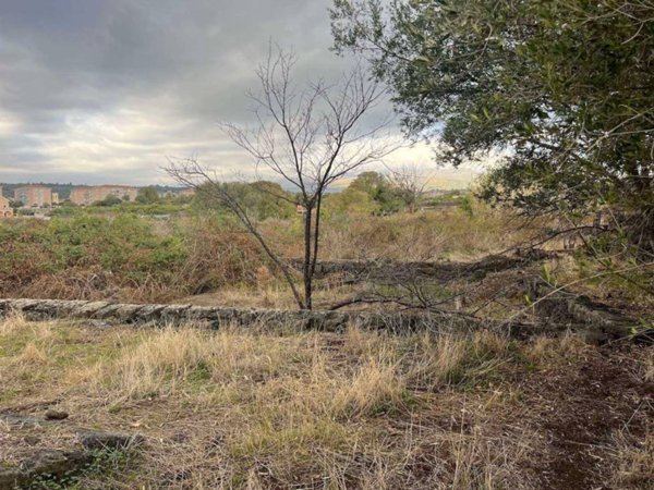 terreno agricolo in vendita ad Acireale in zona San Giovanni