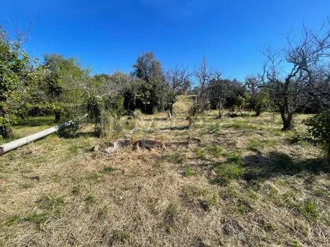 terreno agricolo in vendita ad Acireale