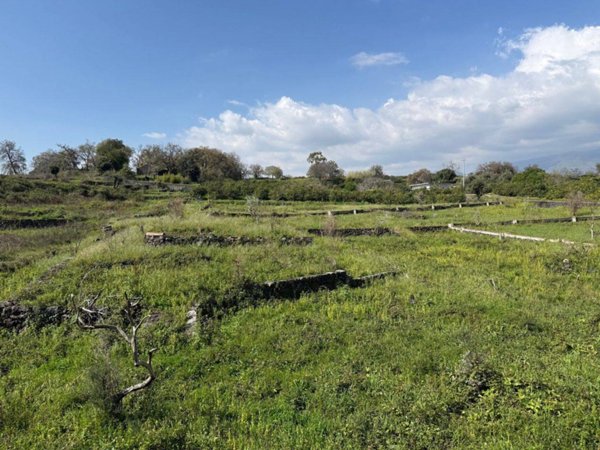 terreno agricolo in vendita ad Acireale in zona Balatelle