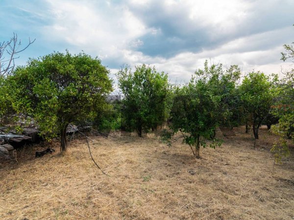 terreno agricolo in vendita ad Acireale