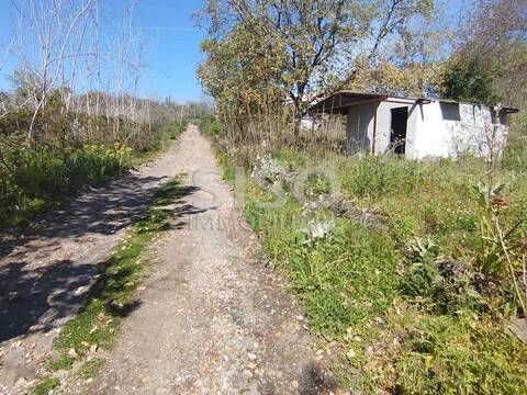 terreno agricolo in vendita ad Acireale in zona Pennisi
