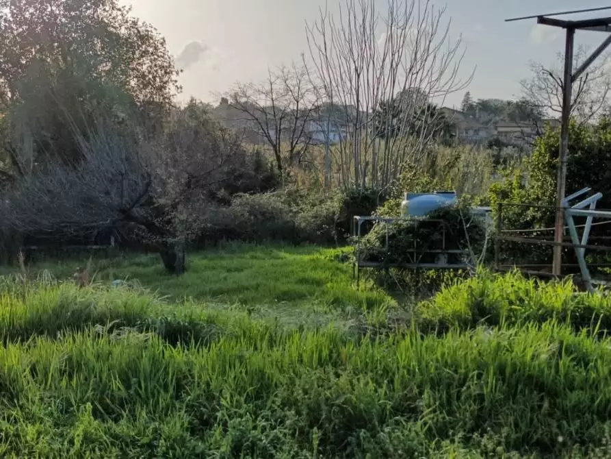 terreno agricolo in vendita ad Aci Sant'Antonio