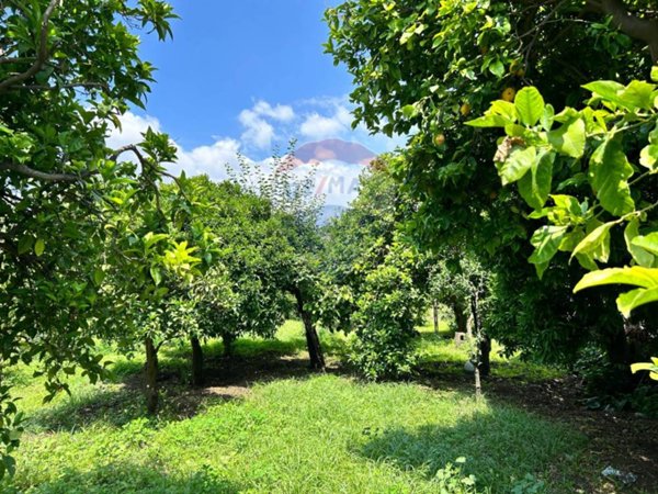 terreno agricolo in vendita ad Aci Sant'Antonio