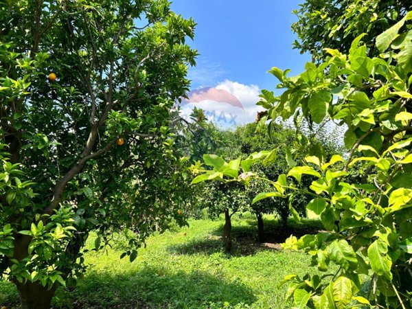 terreno agricolo in vendita ad Aci Sant'Antonio in zona Lavina