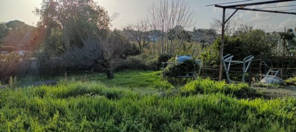 terreno agricolo in vendita ad Aci Sant'Antonio