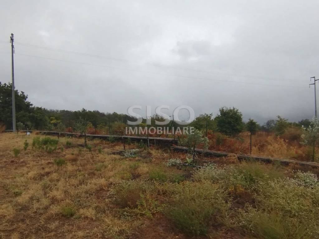 terreno agricolo in vendita ad Aci Sant'Antonio in zona Lavinaio