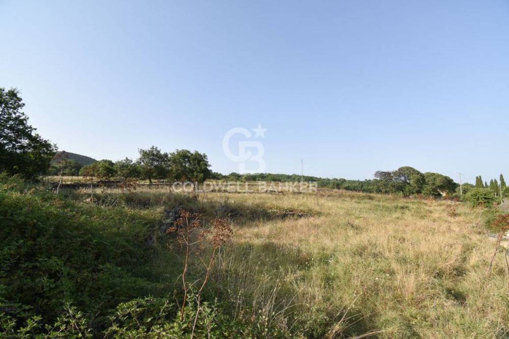 terreno agricolo in vendita ad Aci Sant'Antonio in zona Lavinaio