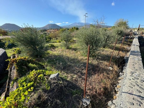 terreno agricolo in vendita ad Aci Sant'Antonio in zona Lavinaio