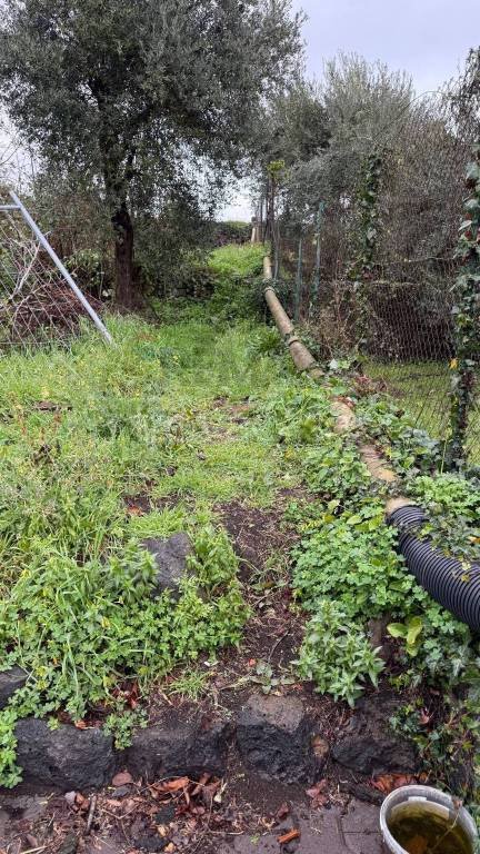 terreno agricolo in vendita ad Aci Sant'Antonio