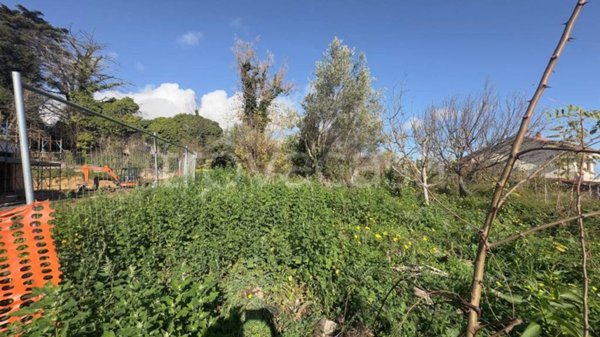 terreno agricolo in vendita ad Aci Sant'Antonio in zona Lavina